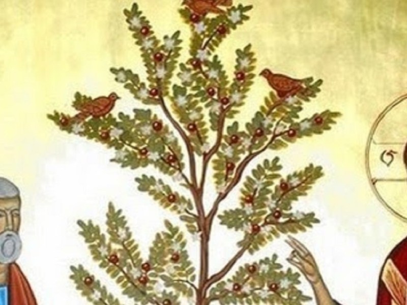 La pazienza